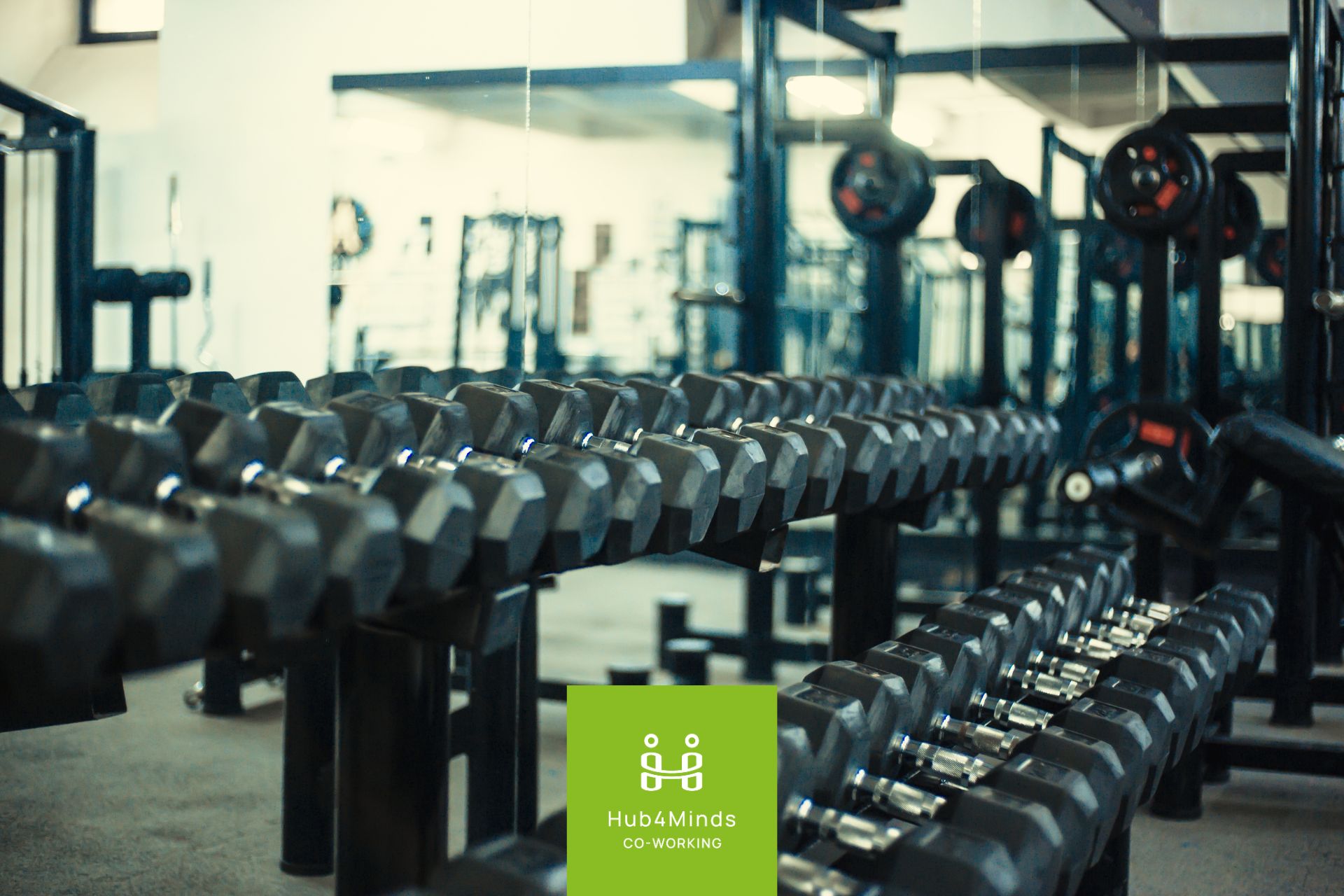 Affittare uno Spazio per una Palestra presso Hub4Minds: La Scelta Ideale per il Tuo Business Fitness